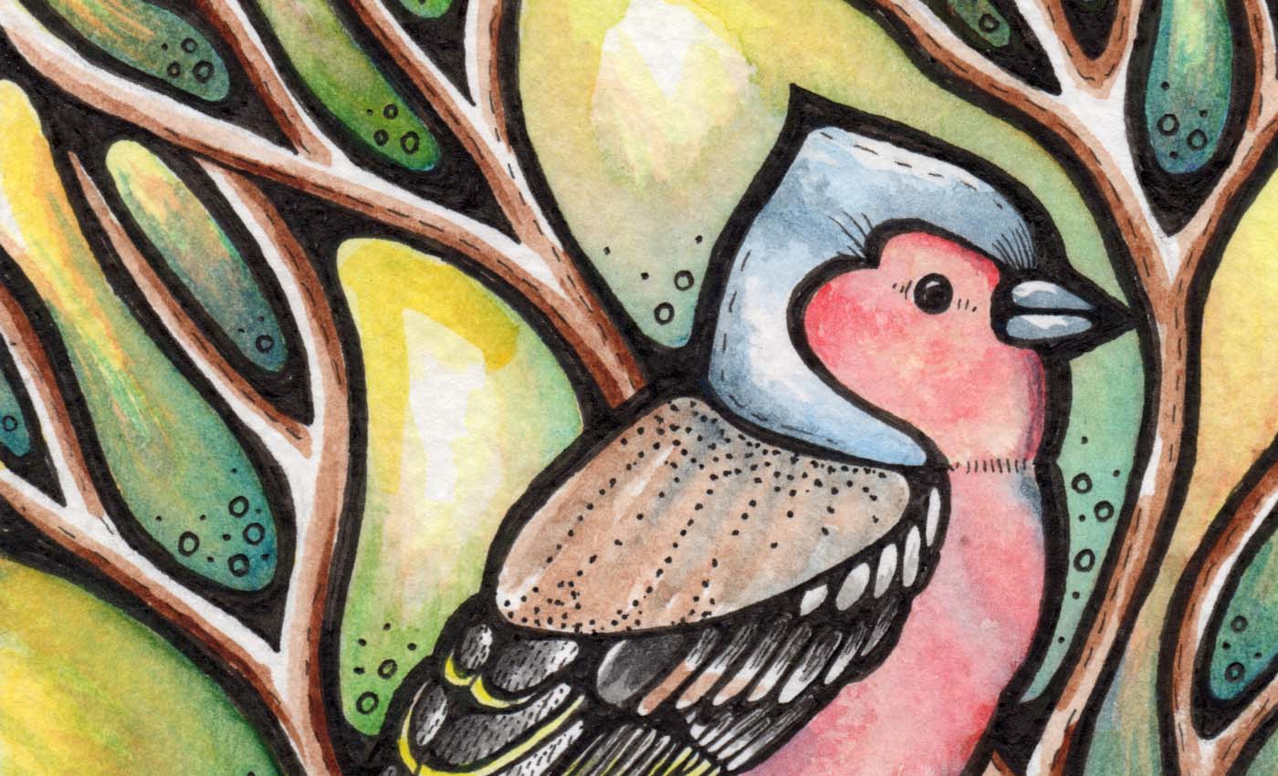 Detail, watercolour bird illustration